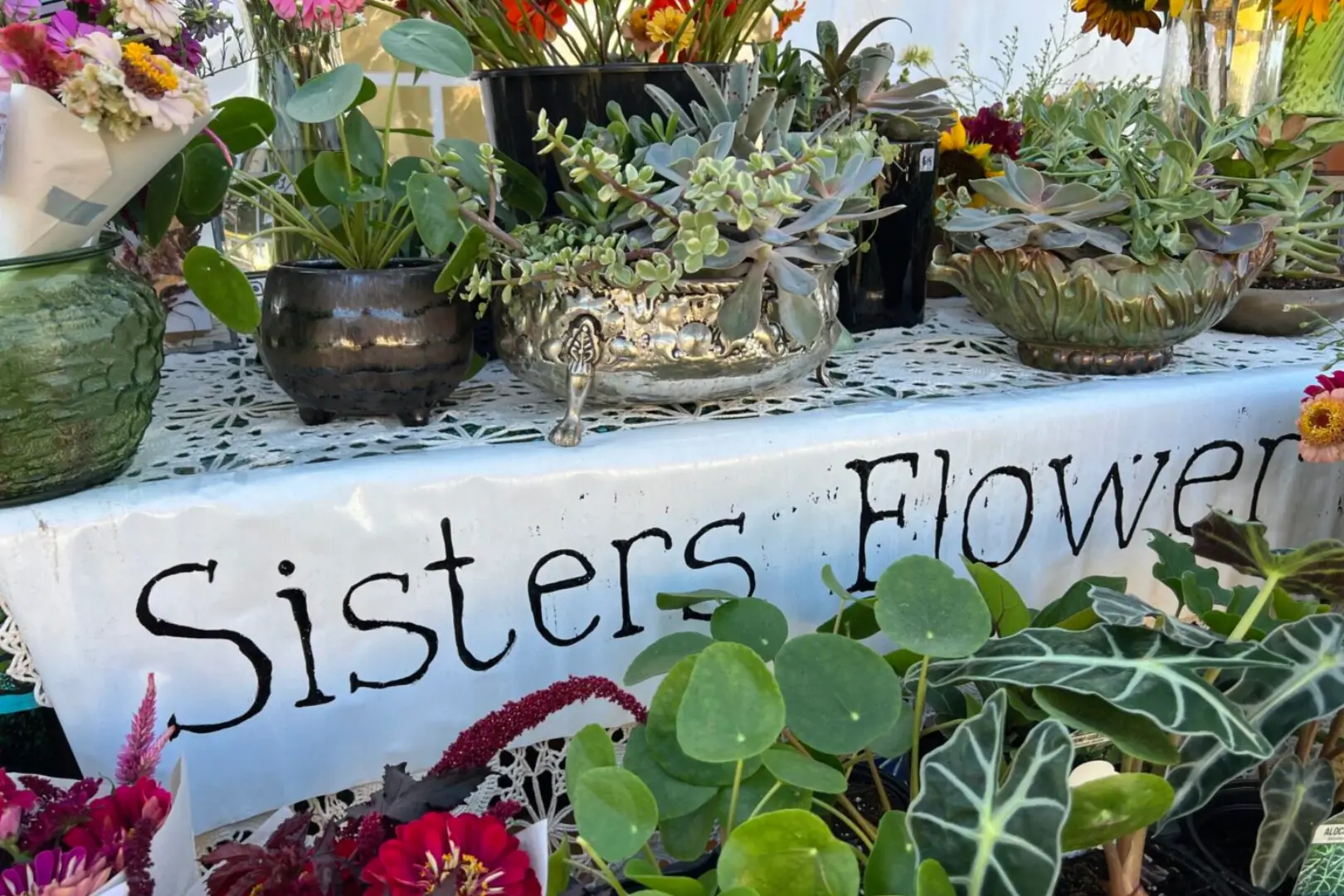 A table with many different plants on it